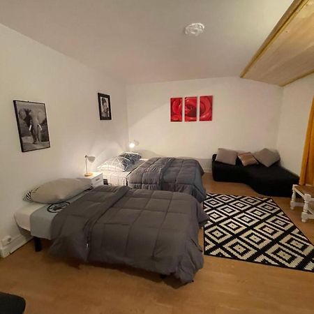 Chez Pierre Apartment Vitry-le-Francois Bagian luar foto
